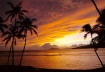 What Is Money? Part 1.