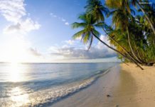 Why Everyone Should Own Two Homes